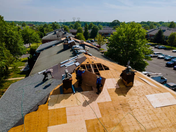 Best Roof Maintenance Services  in Fruitdale, CA